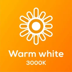 TCP LED Globe 40W SBC Warm Nd Light Bulb - 2 Pack -Lighting Shop 12826527 1705022112453560