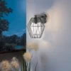 EGLO Canove Caged Exterior Wall Light -Lighting Shop 12881609 1344952642848386