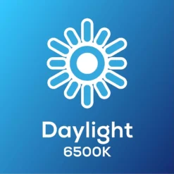 TCP Led Candle 25w Ses Daylight Bulb 2pk -Lighting Shop 12891680 1664974963322509