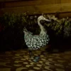 Solar Silhouette Duck - 43x12x27.5cm -Lighting Shop 12912162 1925042096120703