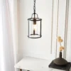 Chester Single Pendant Light - Black -Lighting Shop 13865027 3574977253283613